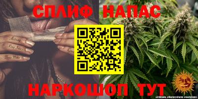 индика Бузулук