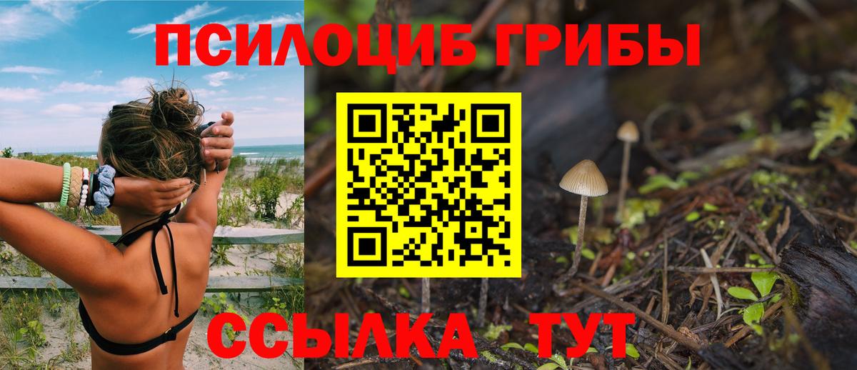 Галлюциногенные грибы GOLDEN TEACHER Костомукша