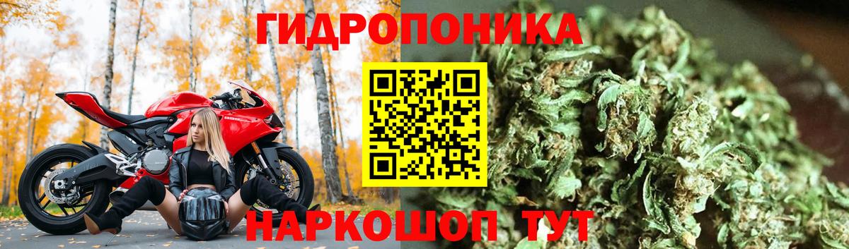 Марихуана марихуана  Каннабис гибрид  Вход с VPN  Костомукша  Конопля AK-47 